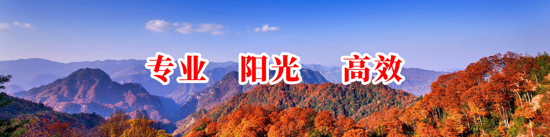 專(zhuān)業(yè)·陽(yáng)光·高效